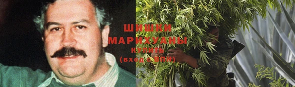 spice Покачи