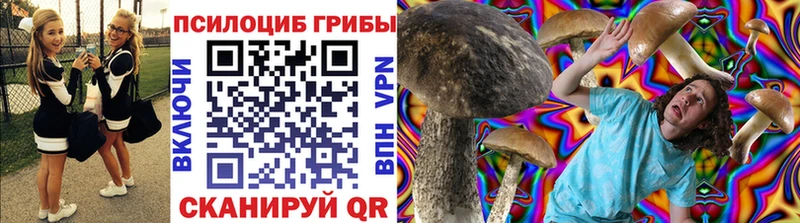 площадка формула  Нефтегорск  Псилоцибиновые грибы Psilocybe 