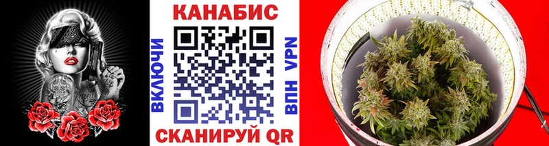 кракен ТОР  Нефтегорск  Канабис ГИДРОПОН 